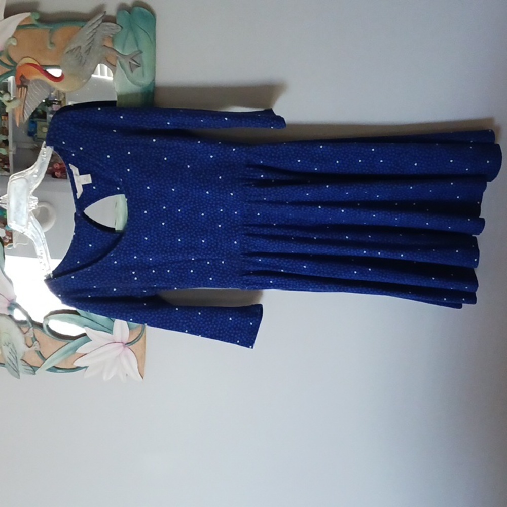 Lauren Conrad long sleeve dress